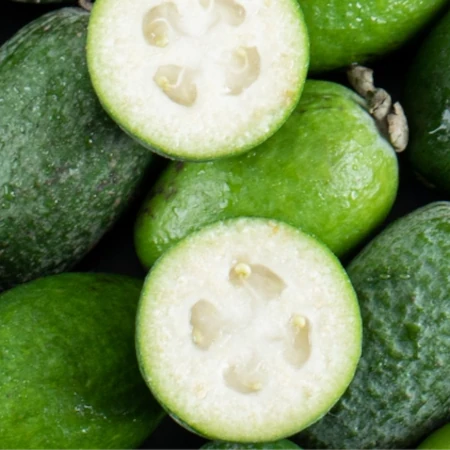 Tytoń FUMELO Dark Line - Flying to Goa 20g