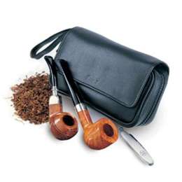 Peterson 2/Pipe Leather Case L