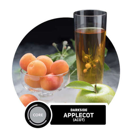 Shisha Tobacco DARKSIDE Core ACOT 200g (Apple, apricot) 