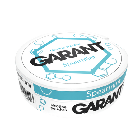 10 X Nikotinbeutel GARANT (Grant) Molecule - Spearmint 20mg