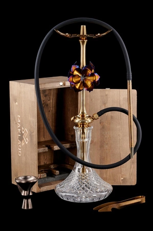 Shisha (Stem) Maklaud Lily Gold