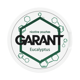 10 X Nikotinbeutel GARANT (Grant) Molecule - Eucalyptus 20mg