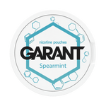 10 X Nikotinbeutel GARANT (Grant) Molecule - Spearmint 20mg