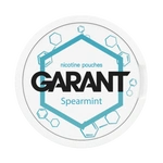10 X Nicotine pouches GARANT (Grant) Molecule - Spearmint 20mg