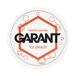 10 X Nicotine pouches GARANT (Grant) Molecule - Ice Peach 20mg