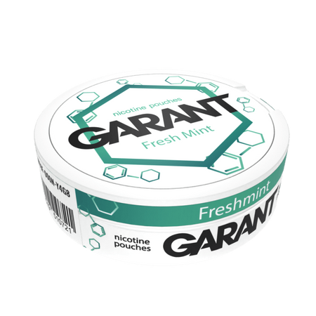 10 X Nikotinbeutel GARANT (Grant) Molecule - Fresh Mint 20mg