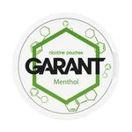 10 X Woreczki Nikotynowe GARANT (Grant) Molecule - Menthol 20mg