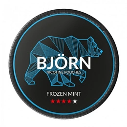 Saszetki nikotynowe BJORN Frozen Mint 11,7mg