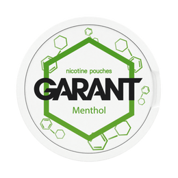 10 X Nikotinbeutel GARANT (Grant) Molecule - Menthol 20mg