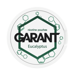 10 X Nikotinbeutel GARANT (Grant) Molecule - Eucalyptus 20mg