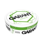 Nicotine Pouche GARANT (Grant) Molecule - Menthol 20mg