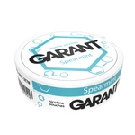 Nicotine Pouche GARANT (Grant) Molecule - Spearmint 20mg