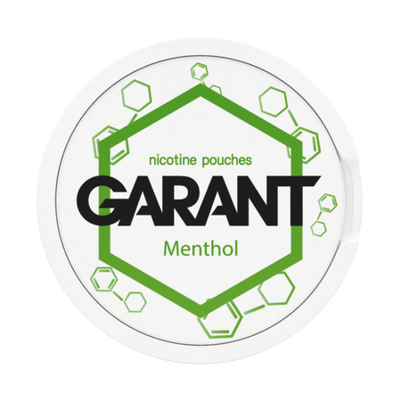 10 X Nikotinbeutel GARANT (Grant) Molecule - Menthol 20mg