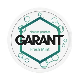 10 X Nicotine pouches GARANT (Grant) Molecule - Fresh Mint 20mg