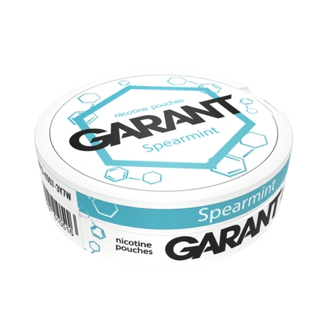Woreczki Nikotynowe GARANT (Grant) Molecule - Spearmint 20mg