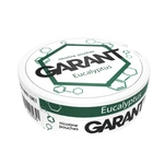 10 X Woreczki Nikotynowe GARANT (Grant) Molecule - Eucalyptus 20mg