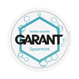 10 X Nicotine pouches GARANT (Grant) Molecule - Spearmint 20mg