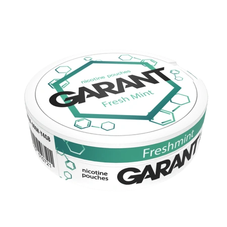 Nicotine pouches GARANT (Grant) Molecule - Fresh Mint 20mg