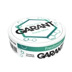 10 X Nicotine pouches GARANT (Grant) Molecule - Fresh Mint 20mg