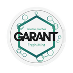 10 X Nikotinbeutel GARANT (Grant) Molecule - Fresh Mint 20mg