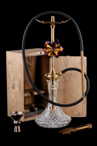 Shisha (Stem) Maklaud Lily Gold