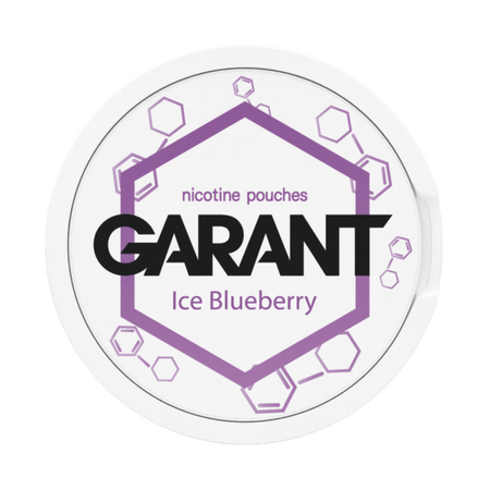 Nikotinbeutel GARANT (Grant) Molecule - Ice Blueberry 20mg
