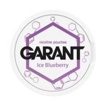 Nikotinbeutel GARANT (Grant) Molecule - Ice Blueberry 20mg