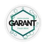 Nicotine Pouche GARANT (Grant) Molecule - Fresh Mint 20mg
