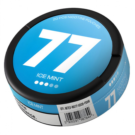 Nikotinbeutel Ice Mint 10,4mg