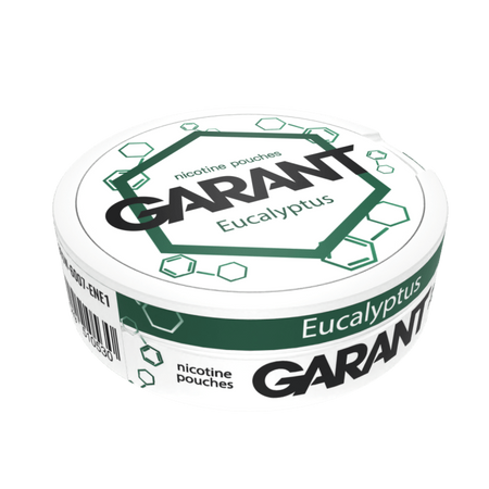 10 X Nikotinbeutel GARANT (Grant) Molecule - Eucalyptus 20mg