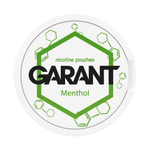 10 X Nikotinbeutel GARANT (Grant) Molecule - Menthol 20mg