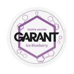 Nicotine Pouche GARANT (Grant) Molecule - Ice Blueberry 20mg