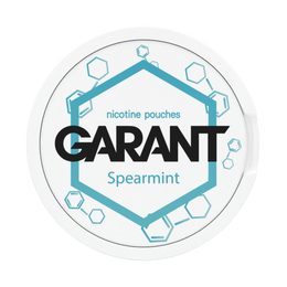 10 X Nikotinbeutel GARANT (Grant) Molecule - Spearmint 20mg