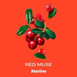 Tytoń do shishy STARLINE Red Muse 200g (Żurawina)