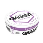 Nicotine Pouche GARANT (Grant) Molecule - Ice Blueberry 20mg