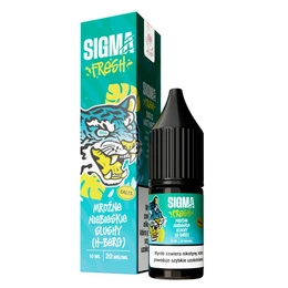 Liquid Sigma Fresh Salt 10ml - Mrożone Niebieskie Slushy (H-Berg) 20mg
