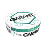 10 X Nikotinbeutel GARANT (Grant) Molecule - Fresh Mint 20mg