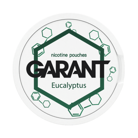 10 X Nikotinbeutel GARANT (Grant) Molecule - Eucalyptus 20mg