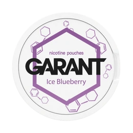 Nicotine Pouche GARANT (Grant) Molecule - Ice Blueberry 20mg
