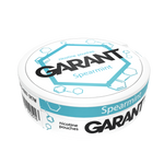 10 X Nikotinbeutel GARANT (Grant) Molecule - Spearmint 20mg