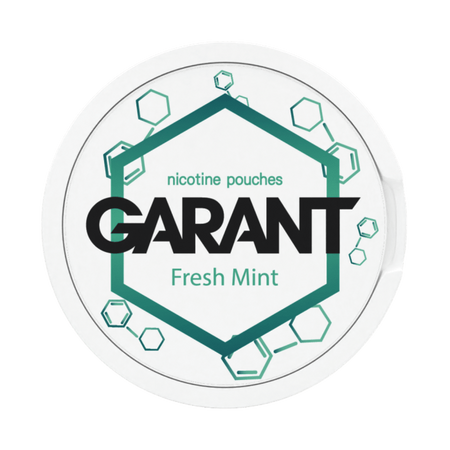 10 X Nikotinbeutel GARANT (Grant) Molecule - Fresh Mint 20mg