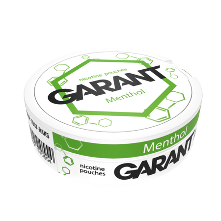 10 X Nikotinbeutel GARANT (Grant) Molecule - Menthol 20mg