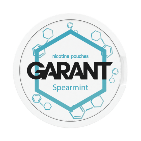 10 X Nikotinbeutel GARANT (Grant) Molecule - Spearmint 20mg